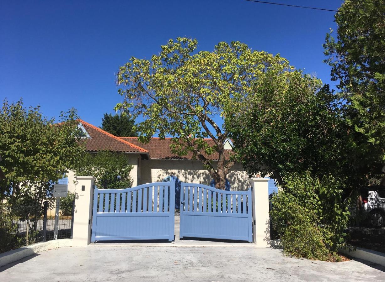Bed & Breakfast D'hote Le Cedre Bleu Saint-Jean (Haute-Garonne)